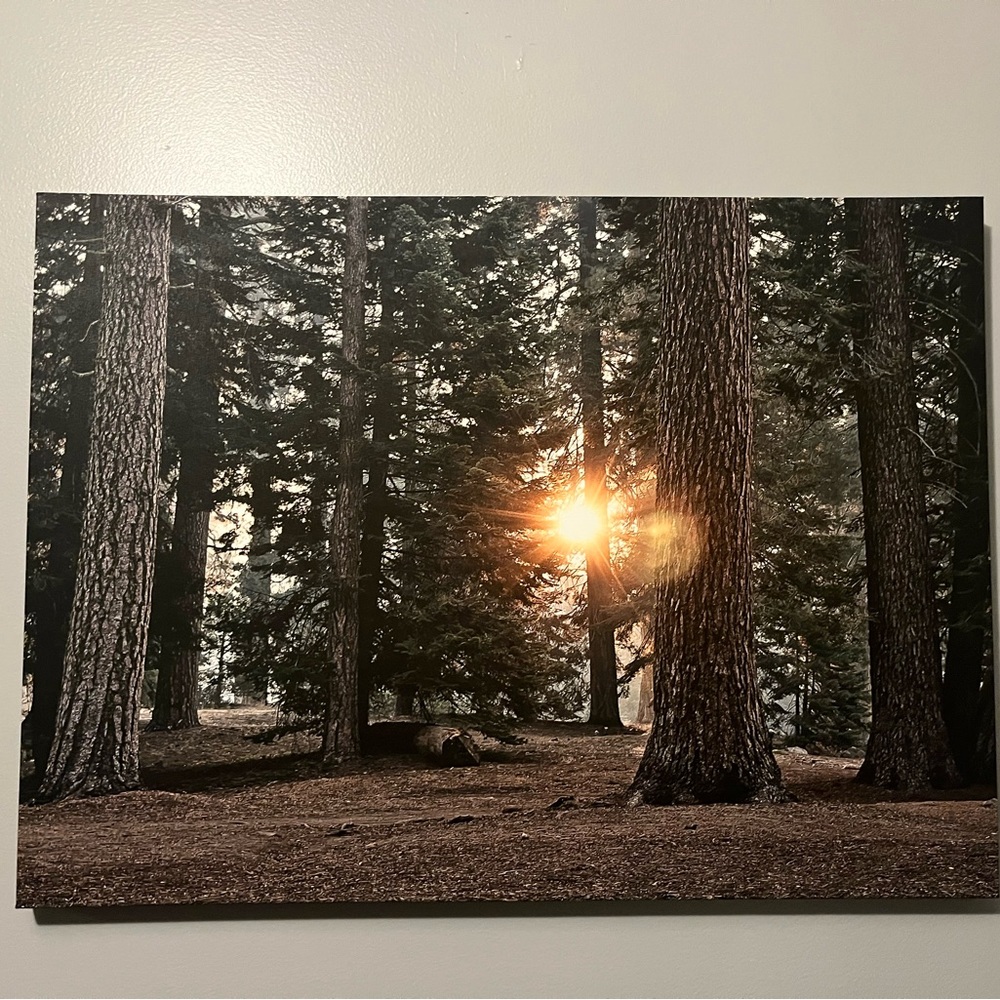 30x22 canvas art